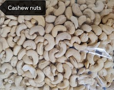 Cashew.jpg Cashew