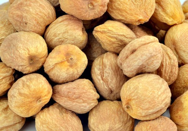 Jardalu (Apricot)
