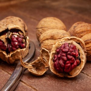 Red,Danube,Walnuts,With,Silver,Nutcracker,On,Wooden,Background.,It Wallnut Chille -A1