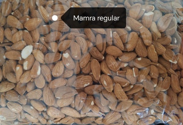 Mamara Badam- Regular