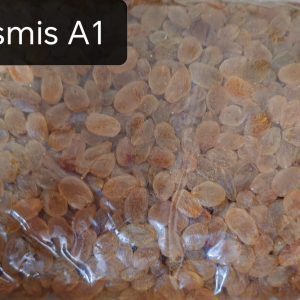 WhatsApp-Image-2025-06-27-at-6.58.15-PM.jpeg Kismis (Raisin) -A1
