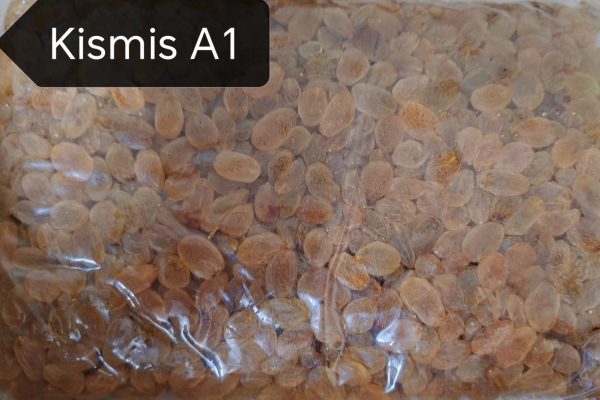 Kismis (Raisin) -A1